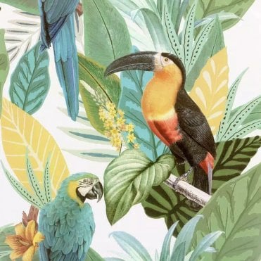 Arthouse Toucan Jungle Multicoloured Wallpaper 296803
