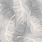 Feather Wallpapers