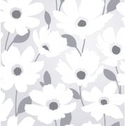 White Wallpapers