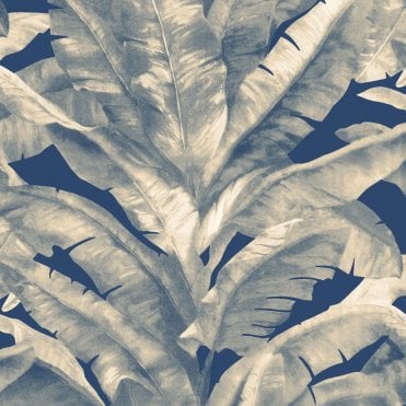 Tropical Blue TR5202