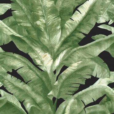 Tropical Green / Black TR5200