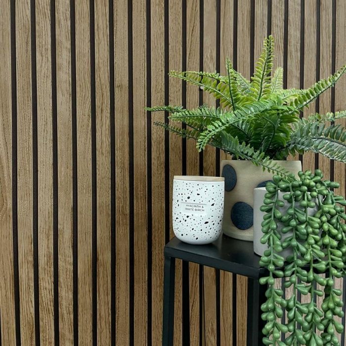 potted plant in front of a wall
